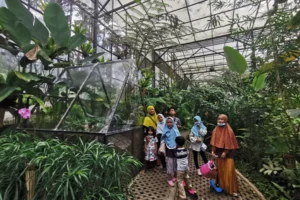 Eco Learning Camp Layanan
