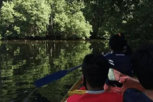 Layanan Explore Mangrove