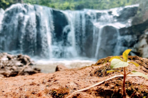 Curug Kujang