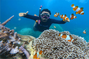 Spot Snorkling Pahawang