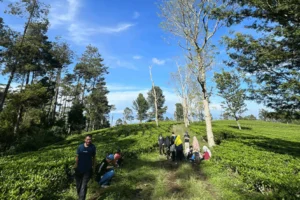 Training Motivasi Outdoor Layanan