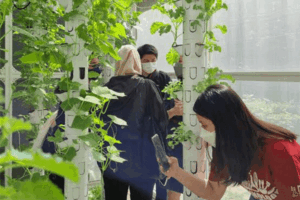 Urban Farming Trip