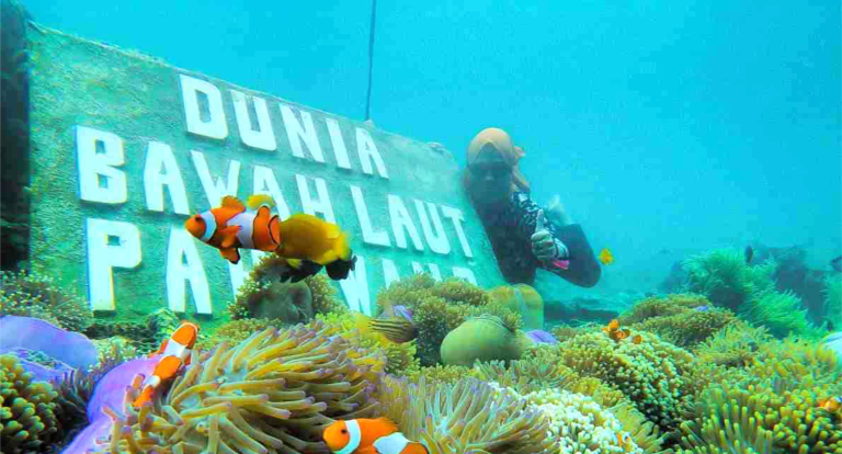 bawah laut pahawang