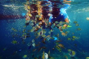 galeri bawah laut pahawang 5