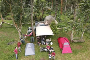 layanan Environmental Education Activities