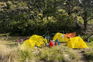 layanan Kemah Lingkungan dan Konservasi