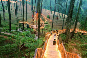paket Orchid Forest Cikole