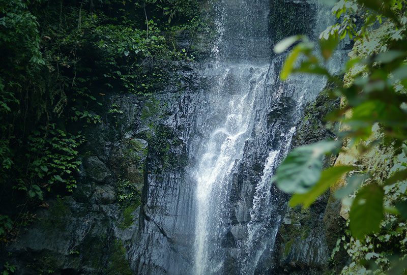 Bunihayu Escape